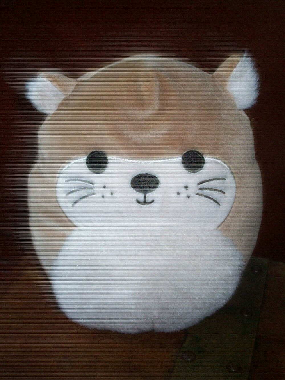 Squishmallow 8" Rie the Brown Sea Otter Fluffy Belly Plush Kellytoy nice